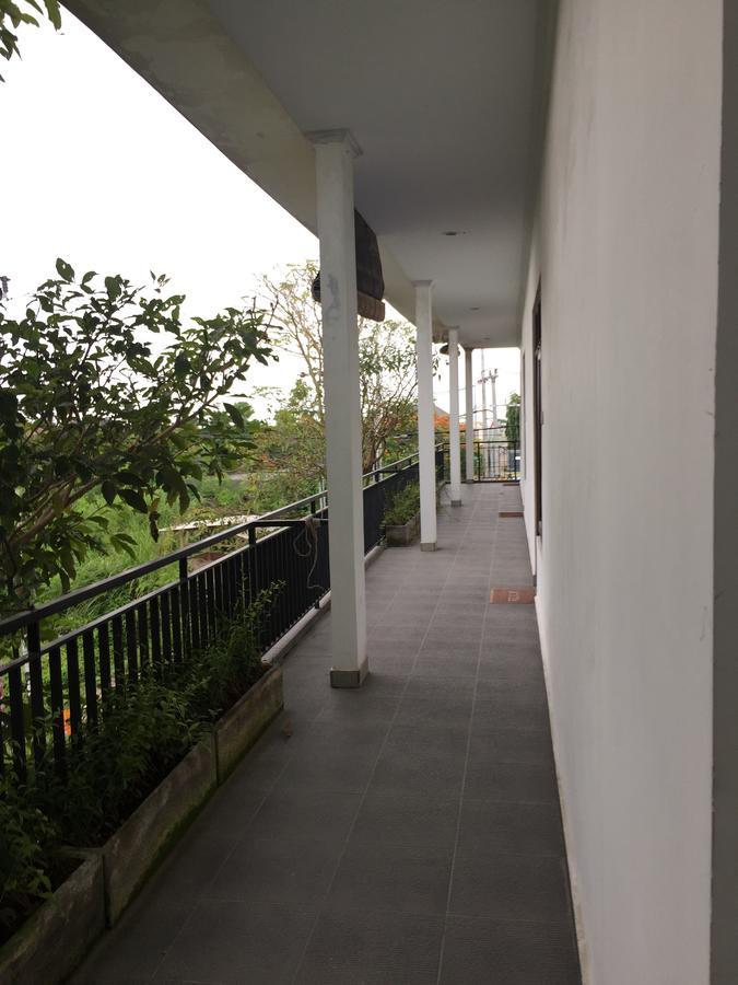 Grass Terrace Homestay チャングー エクステリア 写真